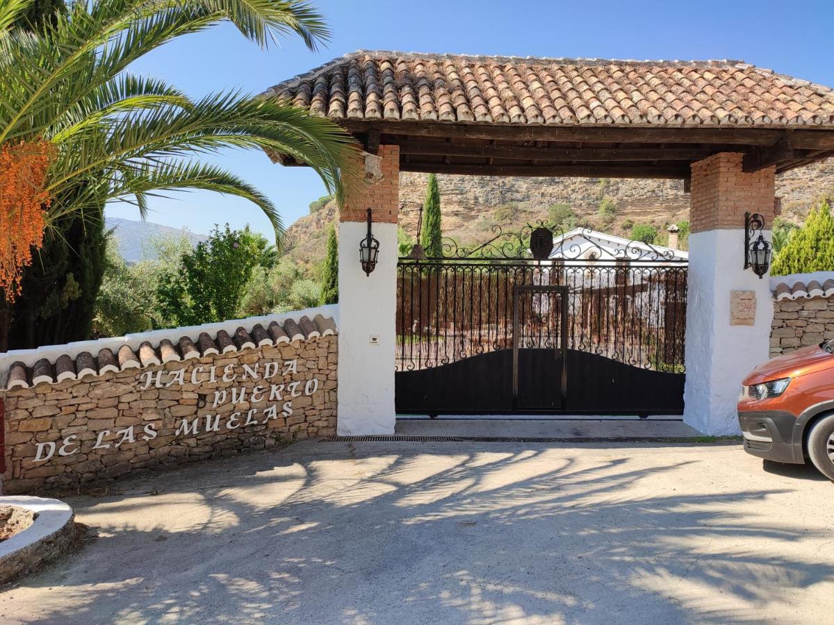 Hacienda Puerto De Las Muelas Ronda Exteriör bild