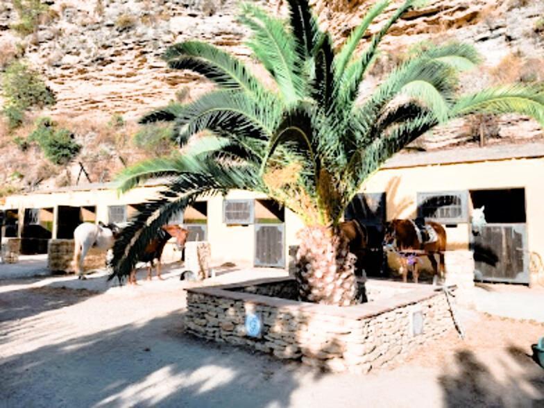 Hacienda Puerto De Las Muelas Ronda Exteriör bild