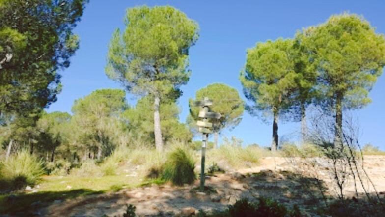 Hacienda Puerto De Las Muelas Ronda Exteriör bild