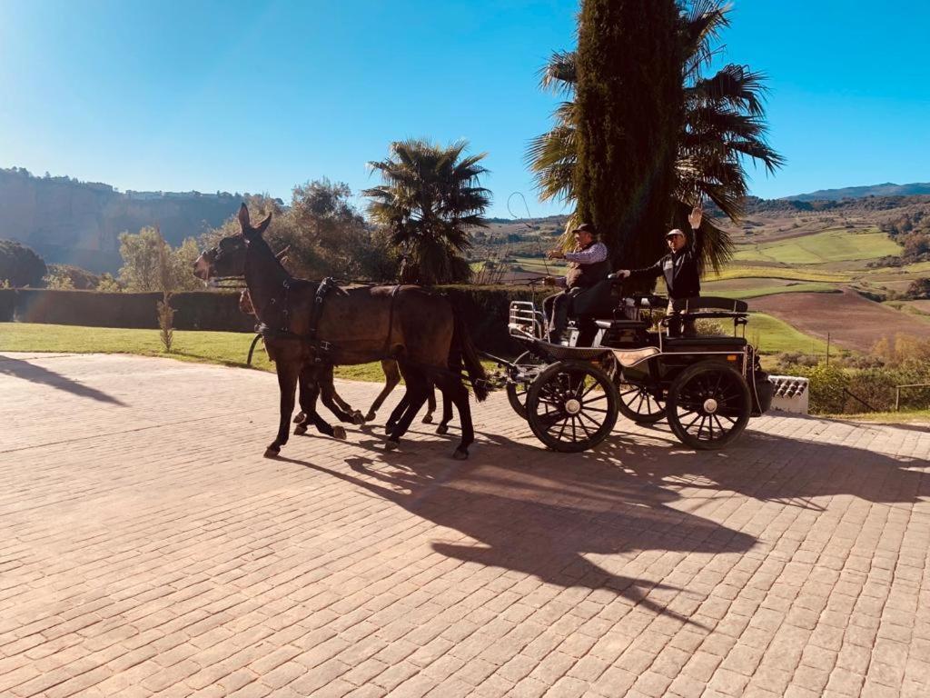 Hacienda Puerto De Las Muelas Ronda Exteriör bild